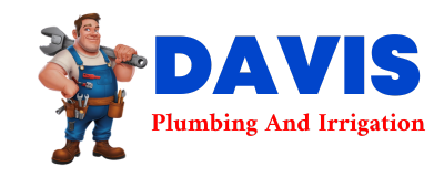 Trusted plumber in SHELLMAN